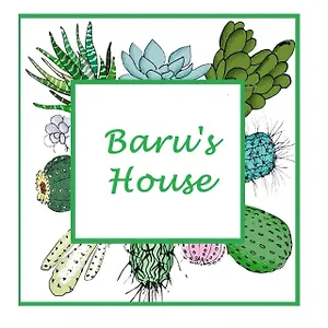 Baru’s House Palerme